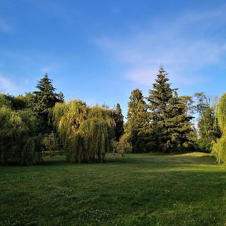 Entire Forest Home Near Nature & Amenities Surrey Luaran gambar