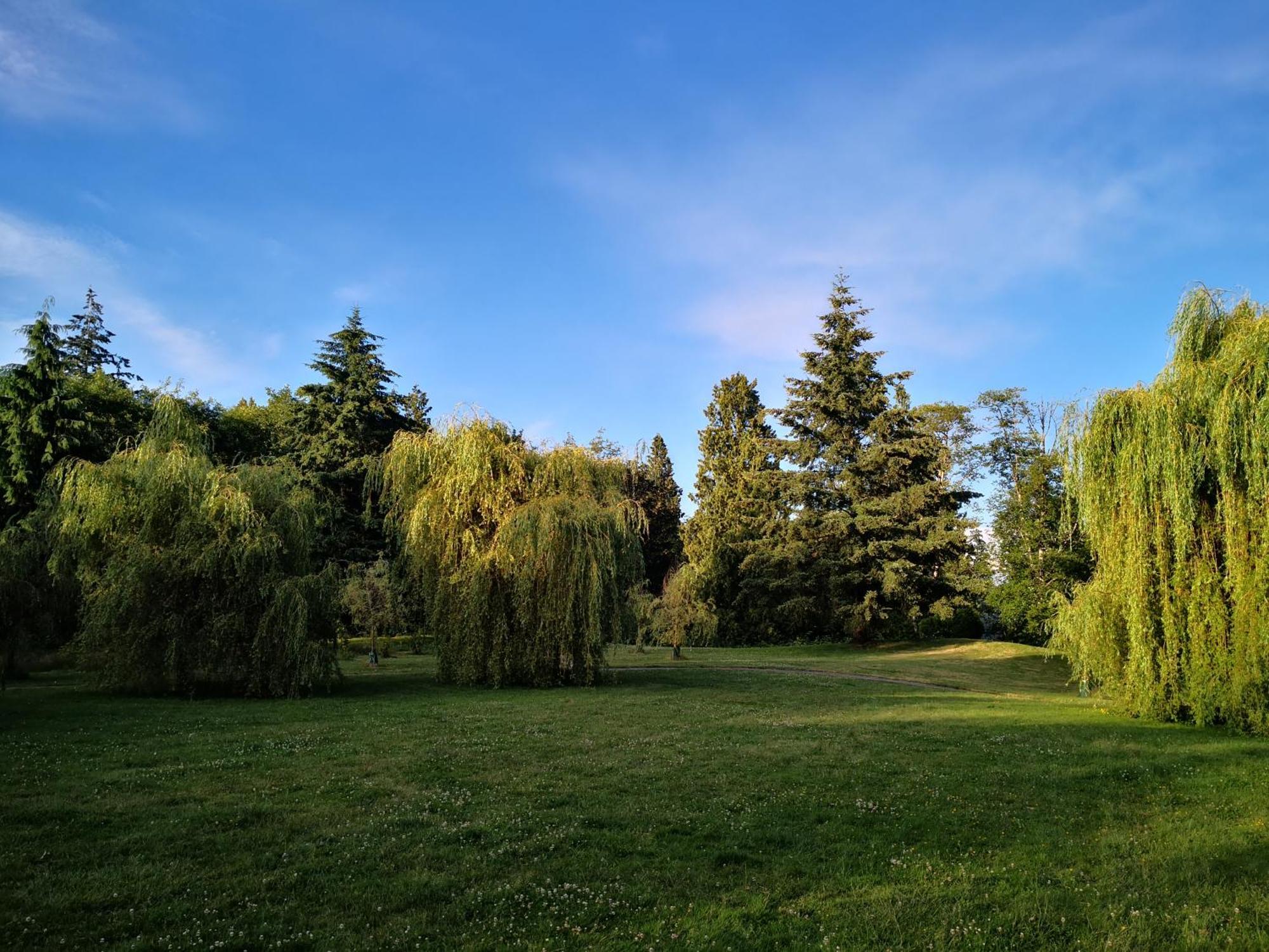 Entire Forest Home Near Nature & Amenities Surrey Luaran gambar